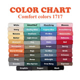Color Chart Comfort Colors 1717 Product